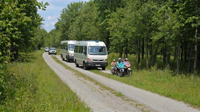 bærekraftige initiativer, Viken, grønn transport, lokal mat, naturbevaring