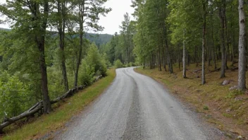 Oldtidsveier, historiske stier, kulturarv, Kongsveien, Veien til Ringerike, Buskerud, Norge